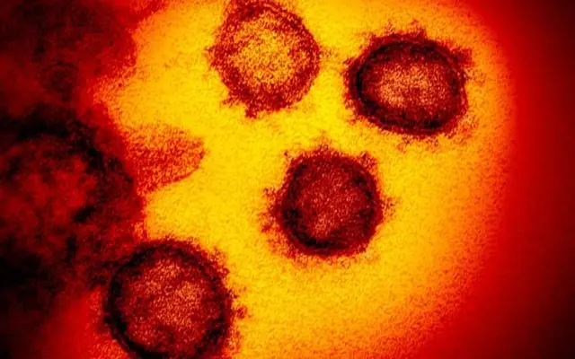 英国和法国一联合研究认为，冠状病毒大流行，可能在10月就开始了