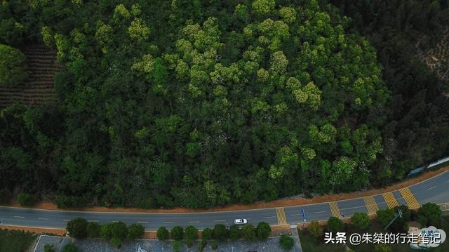 春暖花开好时节,去原生态山乡石台“洗肺”,这五大美景不能错