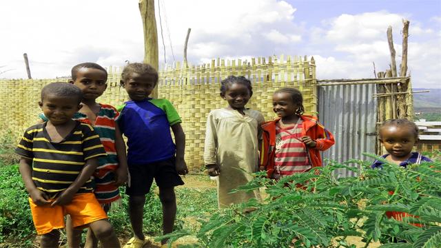 到非洲旅游时，路边的小孩当真不要可怜，也许他们并不是那么单纯