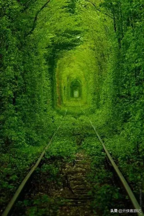 世界上最美的20条街道，亚洲上榜的在中国