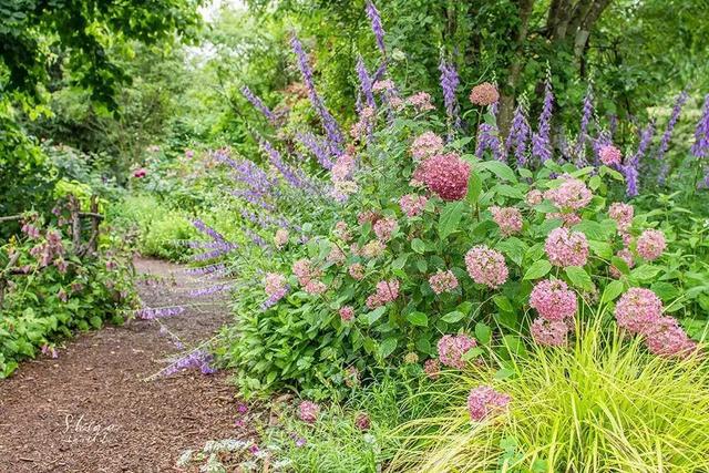 日本精灵庄园，让你放下脚步，忘掉肺炎