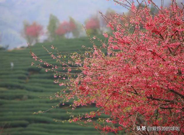 去这15个地方旅行，是宁静，更是对平庸生活的一次越狱