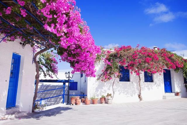 全球最美的10个鲜花小镇