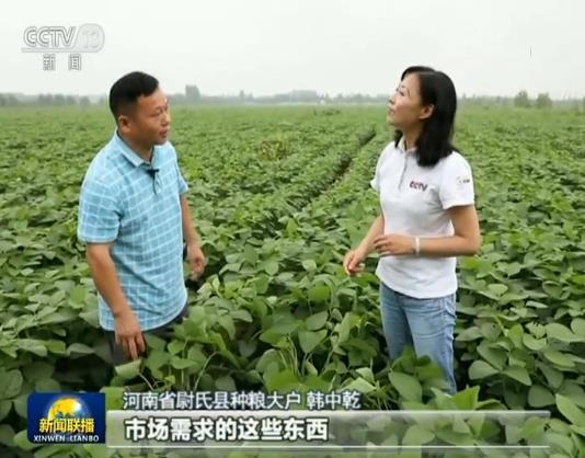 「在习近平新时代中国特色社会主义思想指引下——新时代 新作为 新篇章」优化结构 推进粮食生产绿色发展