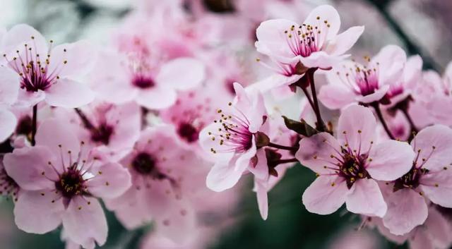 再过30天，中国这些地方很美