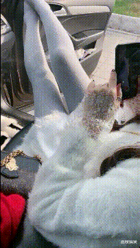 老哥,再不开饭我的饭碗就破了我的人生本不是这样的一招制敌原来这