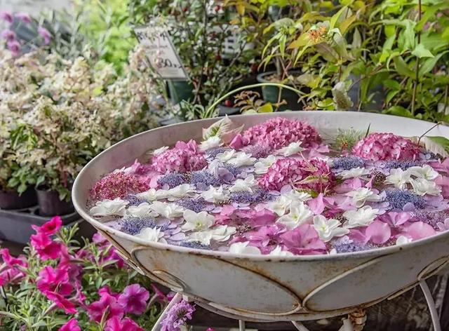 日本精灵庄园，让你放下脚步，忘掉肺炎