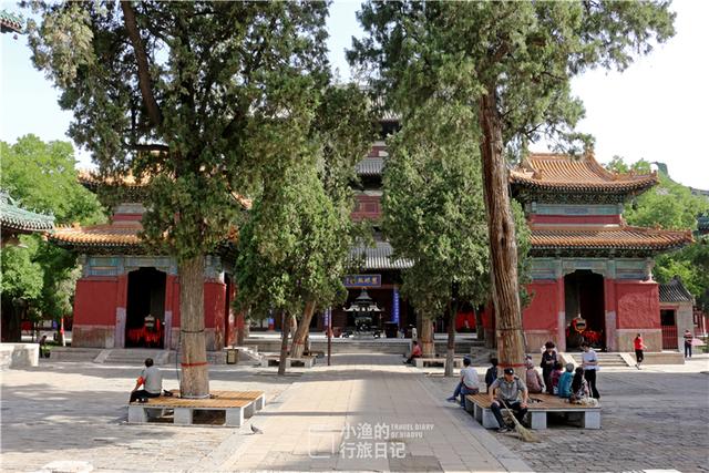 河北小縣城千年古寺，竟藏了六大中國之最，無(wú)數人為其傾倒