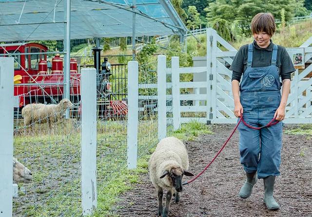 日本精灵庄园，让你放下脚步，忘掉肺炎
