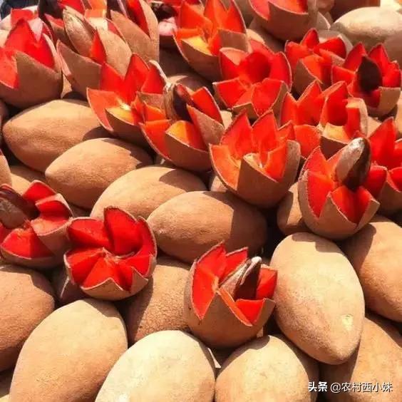 这些稀奇蔬菜水果大家有吃过吗？