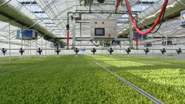 乡村振兴｜马铁民：做“智慧农业”的“绿行者”