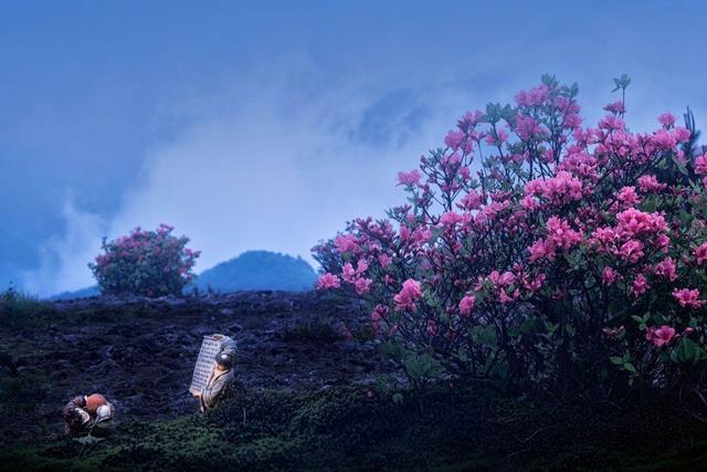 天台，一座康养之城