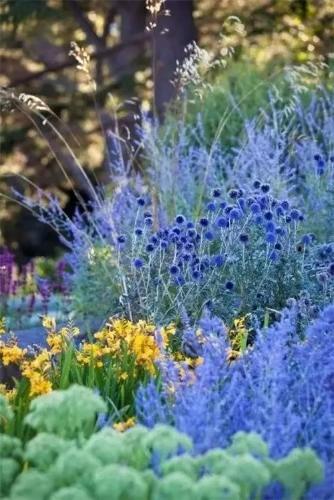 散文：你的微笑是最美的景