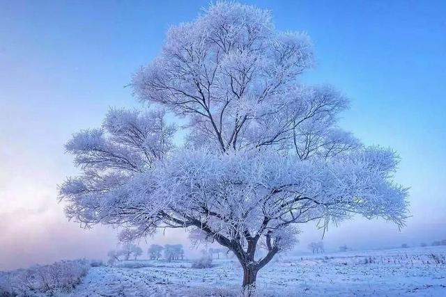 中国10大超自然奇观，颠覆你的想象，去了还想再去的地方