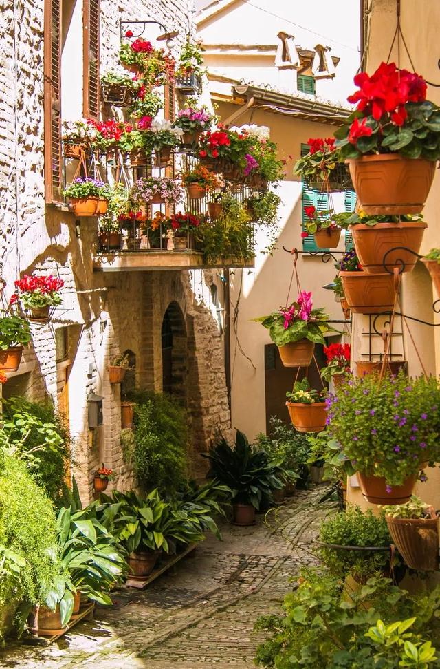 全球最美的10个鲜花小镇