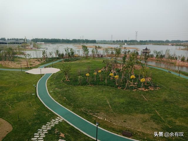 廢棄磚窯坑，變美麗濕地公園