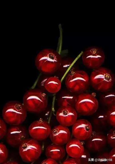 这些稀奇蔬菜水果大家有吃过吗？