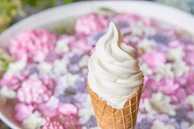 日本精灵庄园，让你放下脚步，忘掉肺炎