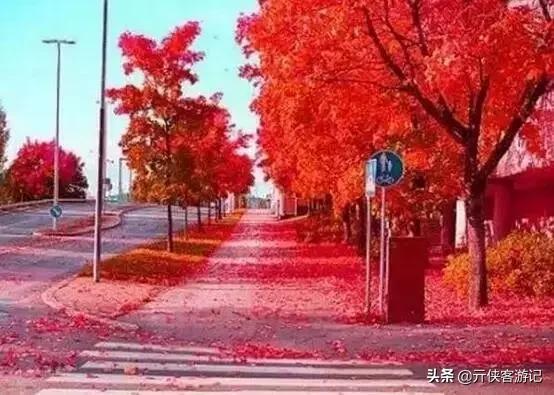 世界上最美的20条街道，亚洲上榜的在中国