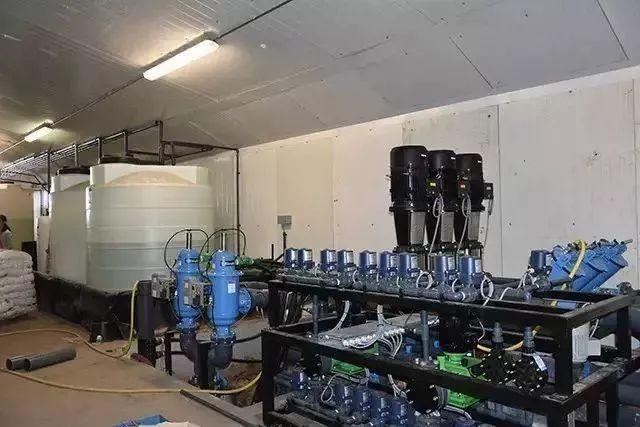 菜吧：荷兰的农业奇迹是如何创造的？